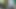 genç gf oral seks