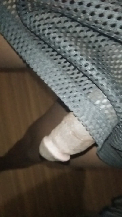 Moj redovni D