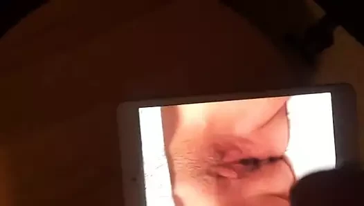 haraç
