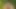 Alter Papi Und Junges Teen Blonde Ficken Draußen