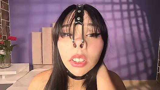 Schweinespiele mit harness