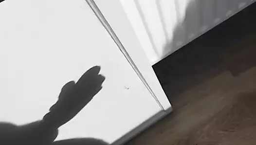 Shadow