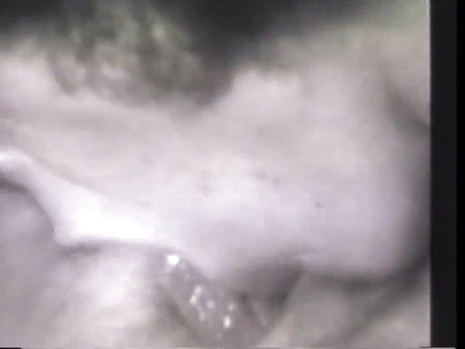 Vintage licking hairy pussy fucking