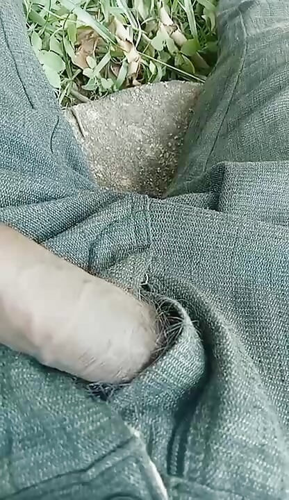 Черният пенис на Джаркханд