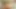 Seksi Genç Asyalı Kız Biniyor ve Ağzına Giriyor