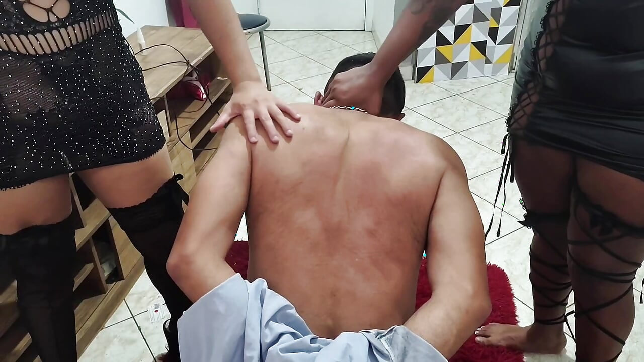 Domina – dominanz –-dominanz