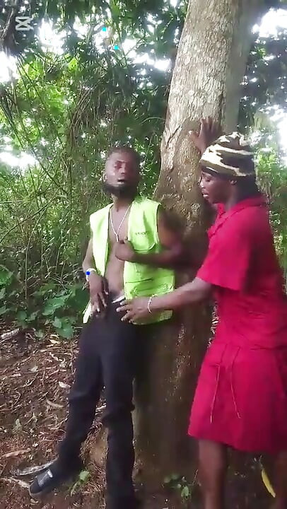 Meet Him on a Good Day in the Bush