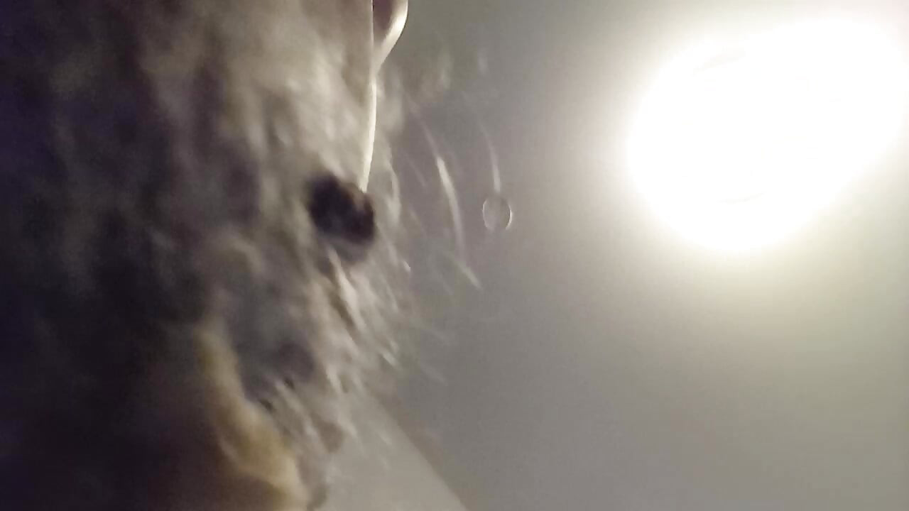 انسداد مجرى الهواء