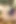 Caprice Jane ve Niki Blonde ile üniversite üniforması eğlencesi