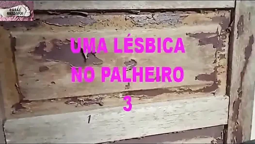 A Lesbian in a Haystack 3