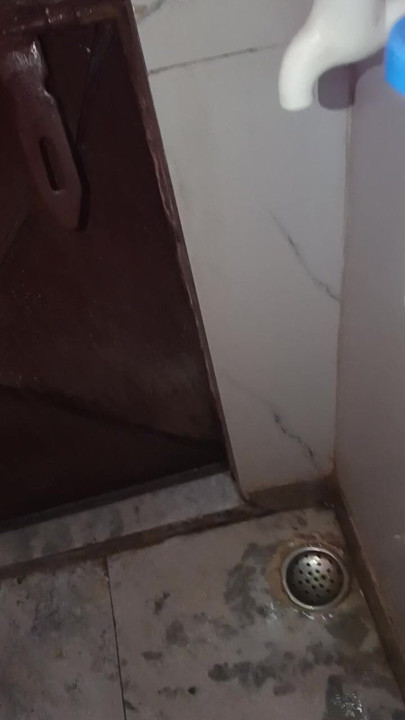 My bathroom show