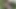 The asian boy masturbation
