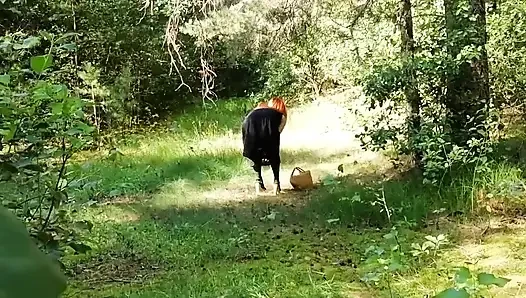 Caught a Red Fox in the Forest and Finished in His Mouth!