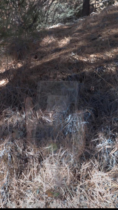 Grandma's house - i so want to fuck Elizabeth