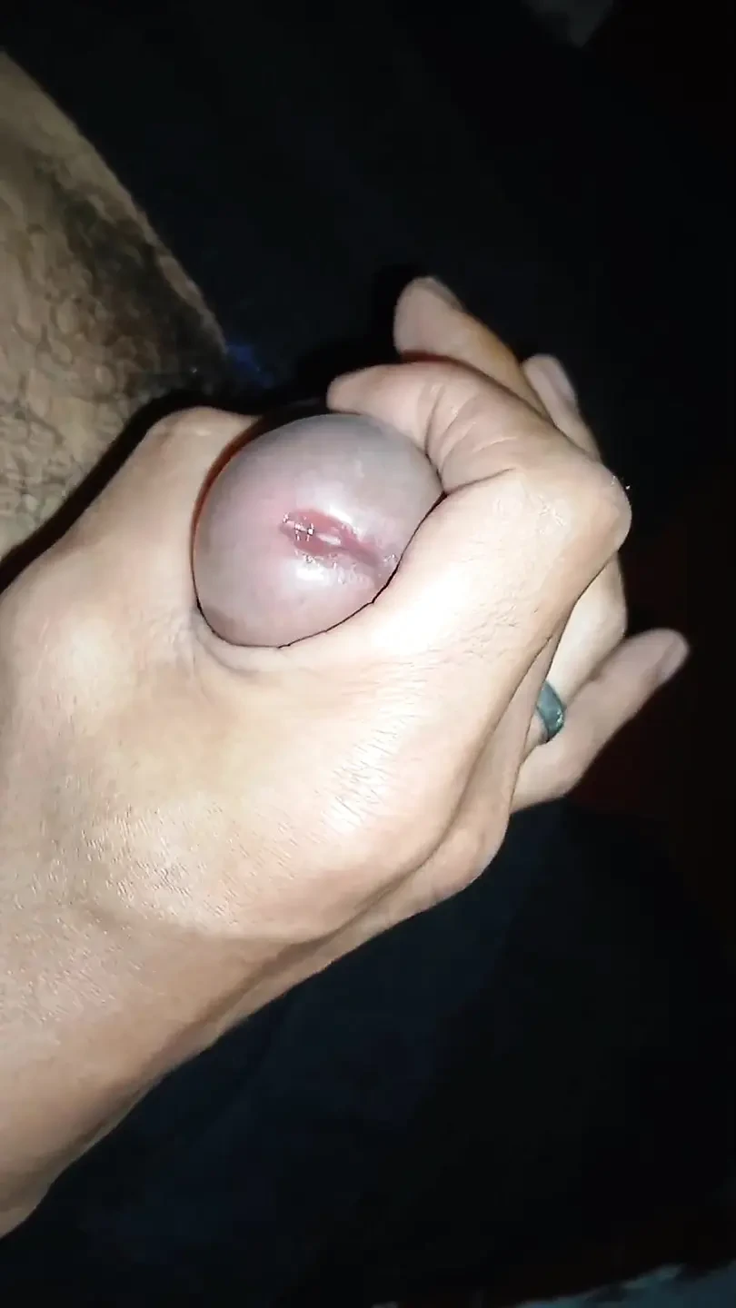 一只松鼠的尾巴终于结束了