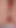 Thrilling moment from "THE HOTTEST PRE CUMMING MASTURBATING WITH MY SMOOTH YUMMY THIGS AND I AM A FEMBOY HOMEMADE BLOGGER"