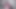 SNAKE CROSSDRESSER MASTURBATING CUTE COCK IN FRONT OF THE CAMERA AS HOMEMADE PRETTY FEMBOY AND AMATEUR MODEL SISSY MTF