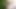 Step sister fucks herself with giant cucumber