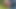 Side Yard Masturbation