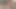 Açık! Sınıf arkadaşım shcool 4k'dan sonra beni ormanda sikiyor - nicky mist
