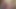 How two amateur porn actresses found their place in the adult film industry through a wild orgy?