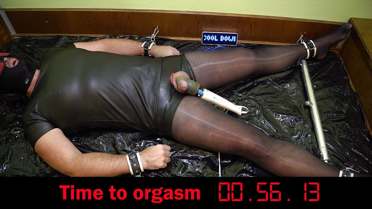 Sperm Donor Is Milked by Ai