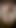 MY BIG VIEN COCK