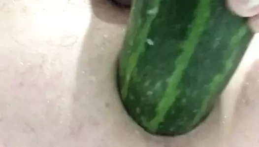 prolapsus anal yıkım