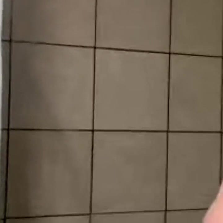 BBW's Wet & Wild Release