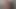 アイビーにはシャワーが必要