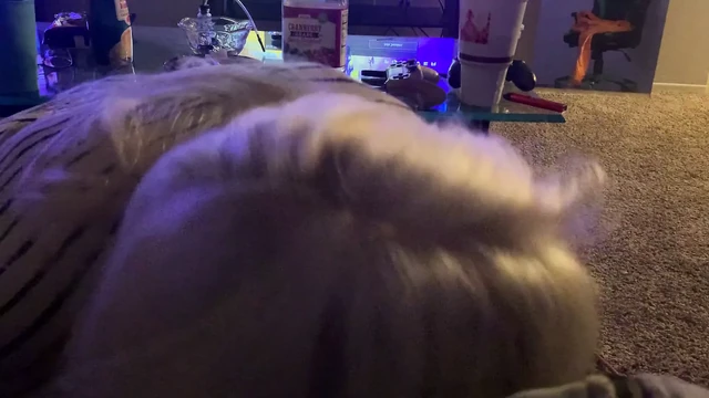 Granny loves sucking bbc