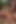 20348_teeny hikayeleri.göte aç hatunlar sıkı deliklerini sert ve vahşice dolduruyor - sadece doyamıyorlar