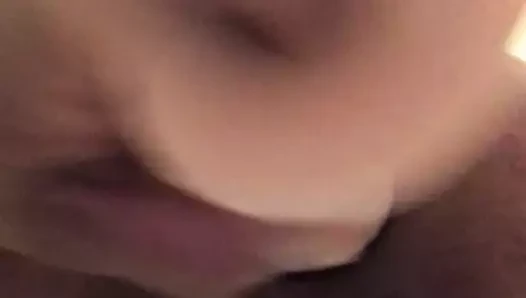 çiçek açan gül