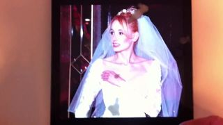 Eine Ladung über Brautbilder blasen
