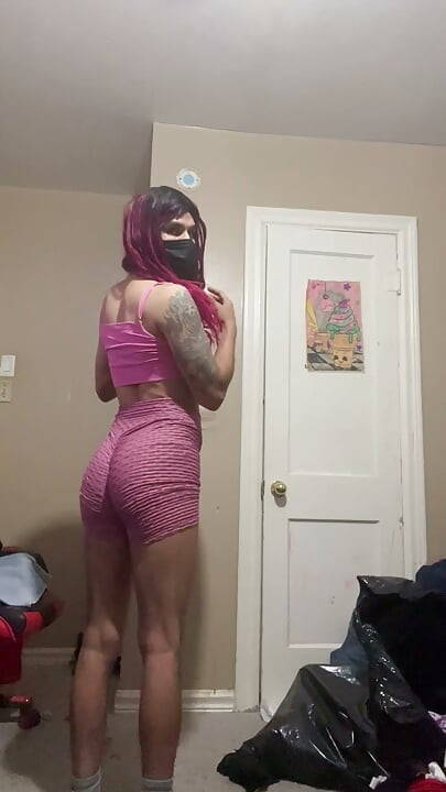 Zorra traviesa en Texas
