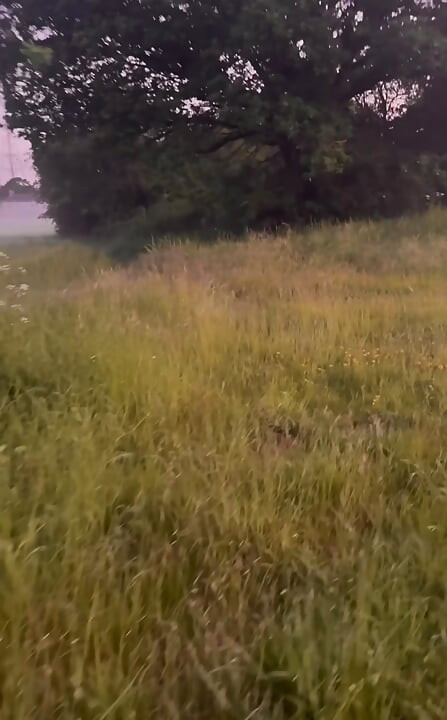 Horny on a barefoot nude walk so I edged my fat cock