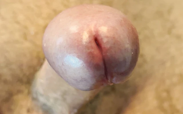 I Show You My Very Hard Cock. Do You Want to Fuck Me?