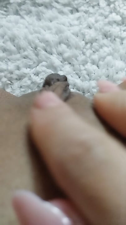 knep min steddatter tæve