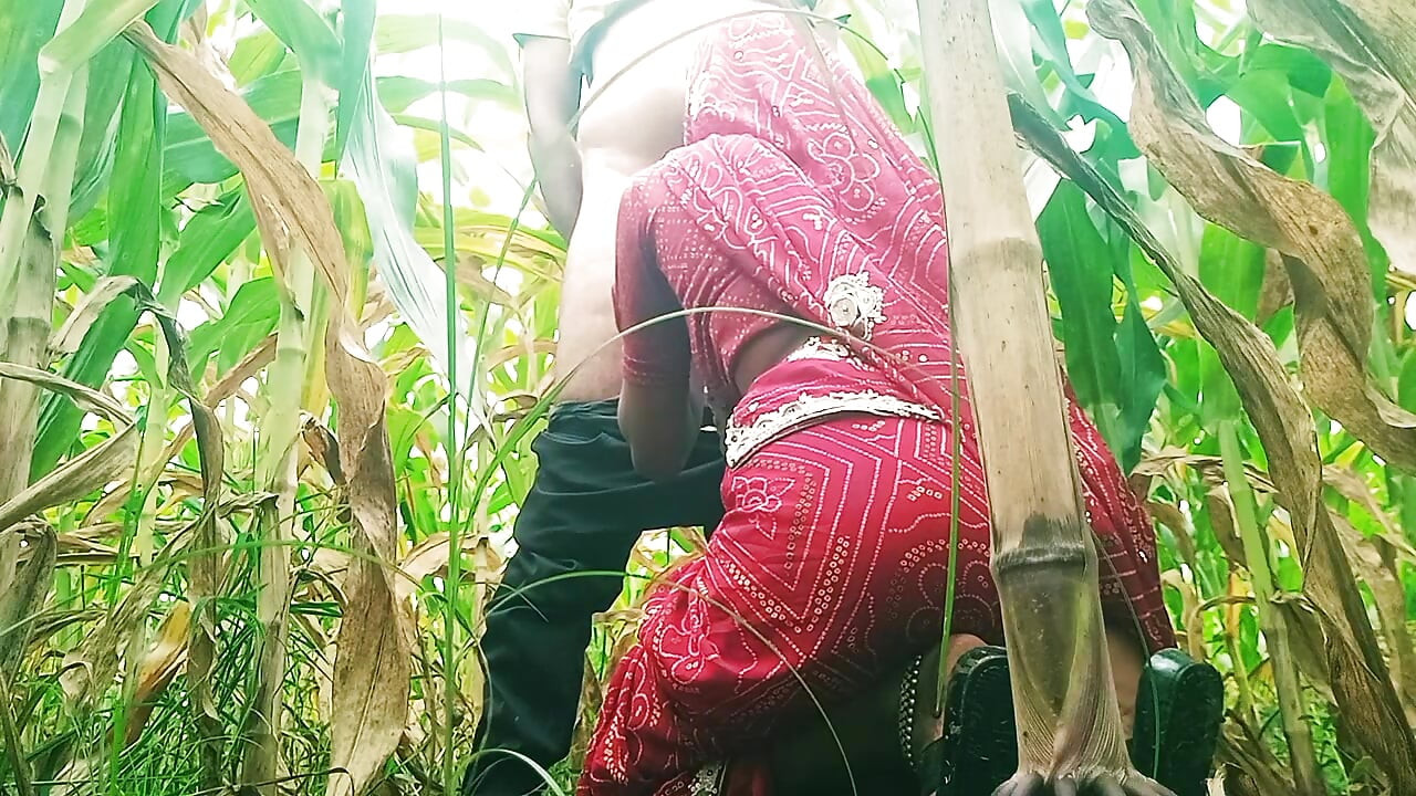 Sister-in-law sucked cock in the field and fucked hard