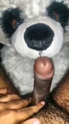 Pratonton Video