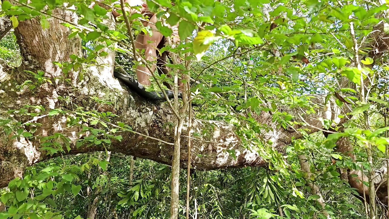 FRIEND I CAUGHT IT IN THE FOREST AND I PUT MY COCK VERY HARD GIVING A SIP INSIDE MY ASS
