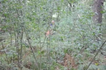 in a forrest with a photographer