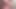 ぽっちゃり系腹遊び4