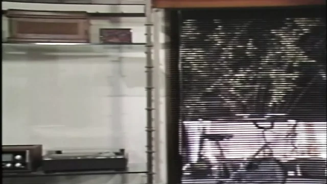 Original Sex Academy (1985)