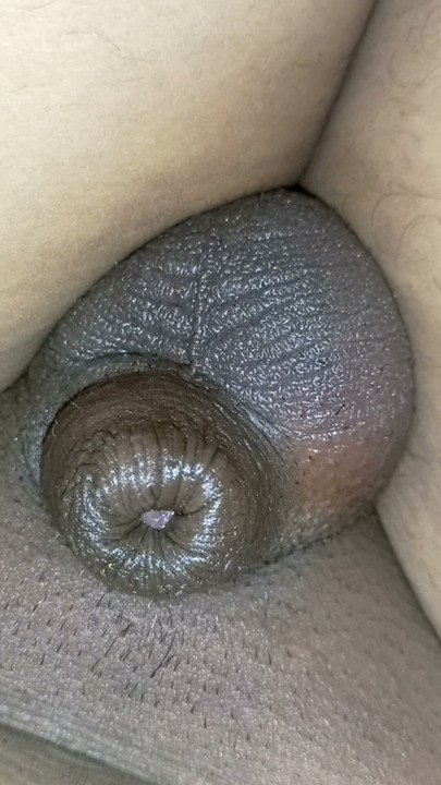 My little sissy cock Hump to cum