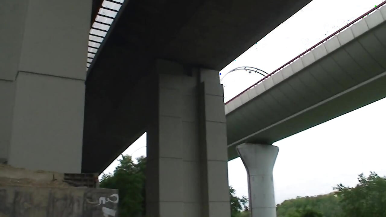 ברונטית בוגרת נדפקת חזק ביער ובמכונית