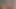 Parislovely çıplak üzerinde kam