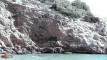 Pratinjau video
