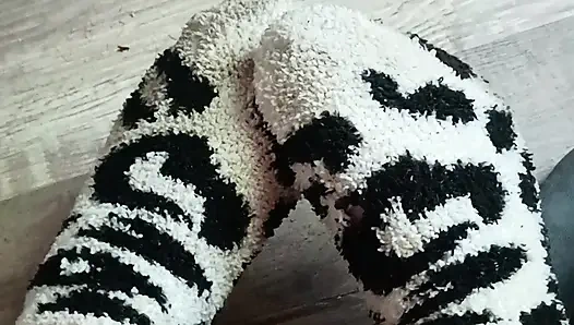 Quit stealing my socks jack