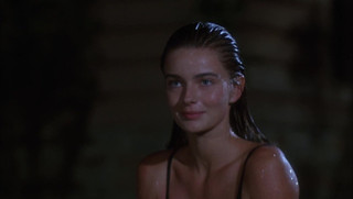 Paulina porizkova - seu álibi